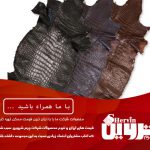 قیمت فروش چرم تمساح در ایران