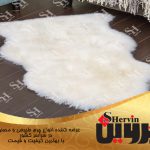 چرم گوسفندی مرینوس